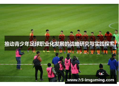 推动青少年足球职业化发展的战略研究与实践探索
