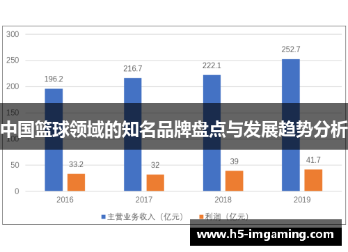 中国篮球领域的知名品牌盘点与发展趋势分析