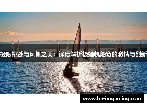 极限挑战与风帆之美：深度解析极端帆船赛的激情与创新