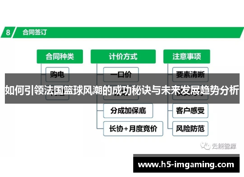 如何引领法国篮球风潮的成功秘诀与未来发展趋势分析