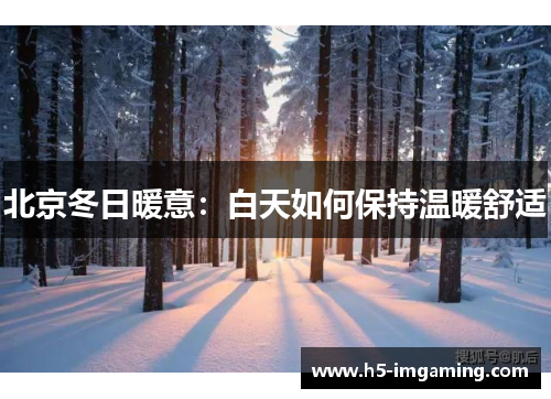 北京冬日暖意：白天如何保持温暖舒适