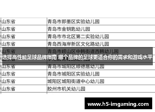 选择高性能足球品牌指南 哪个品牌的足球更适合你的需求和游戏水平